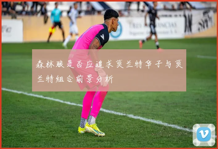 森林狼是否应追求莫兰特华子与莫兰特组合前景分析