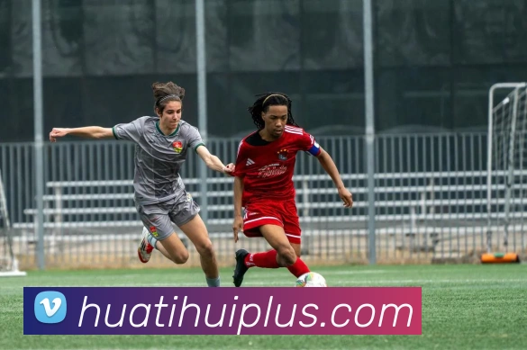 华体会体育APP 封面图